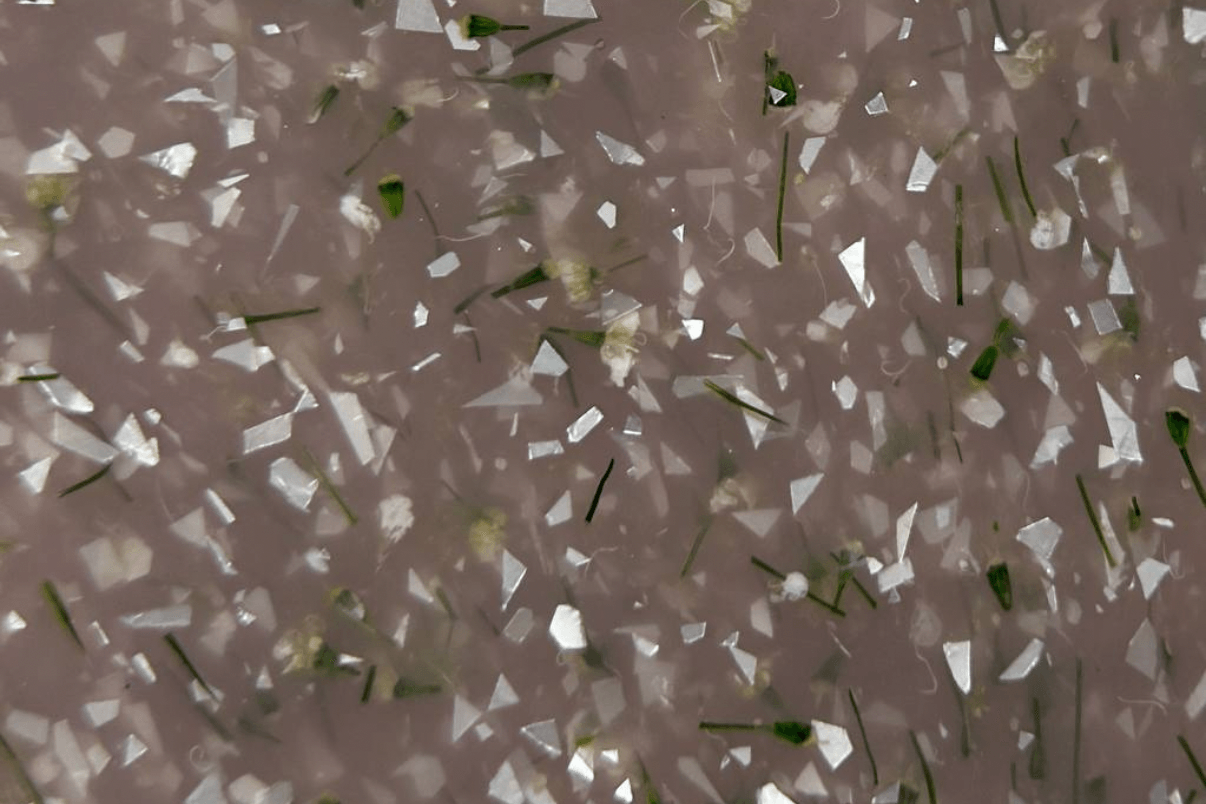 iPerfect, White Flower gel 03