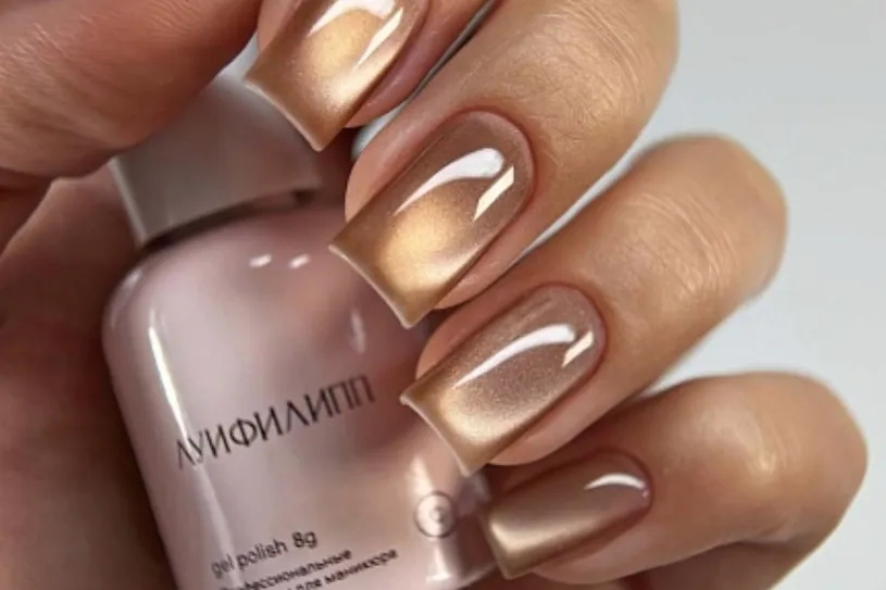 Луи Филипп, Brown cat 01