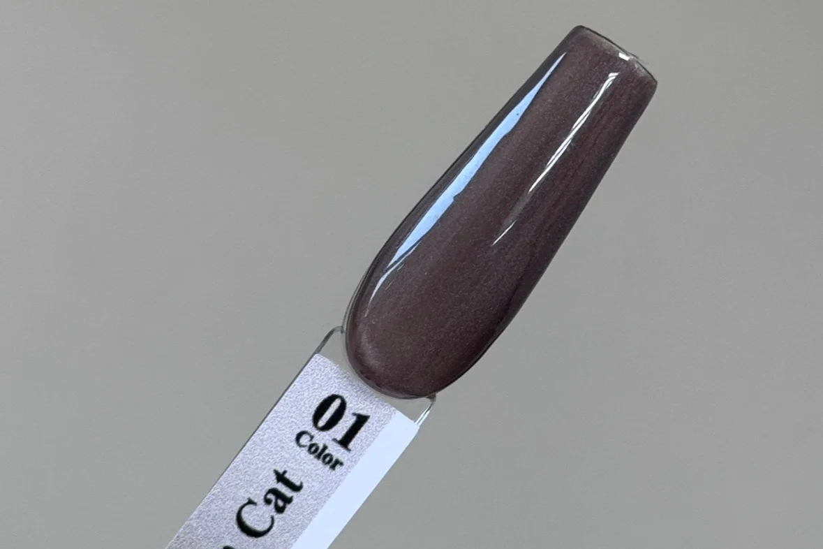 М&К, Midnight Brown cat - 01