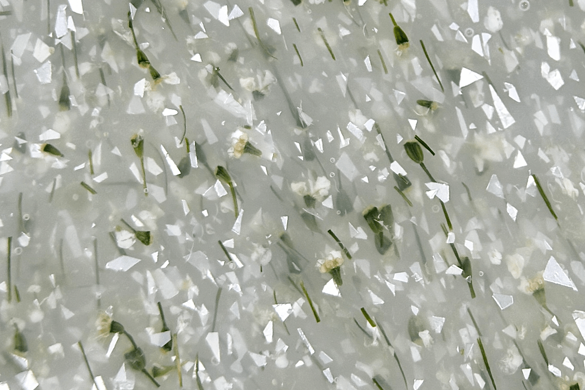 iPerfect, White Flower gel 01